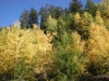DSCN0679