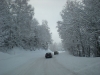 DSCN0692