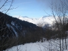 DSCN0698